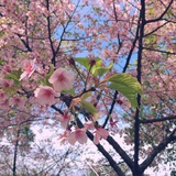 心自闲斋