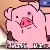 诸葛五花🐖