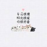 木易家的洋葱头