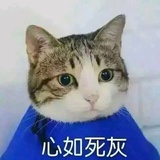 爱哭的库里