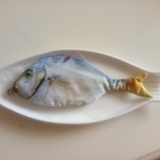 光明圣杰