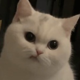 lalalast