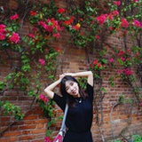 沐雙小姐