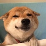 正月里