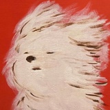 小丸子