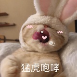 JU