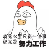 笋冻青