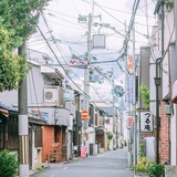 豆友158658181