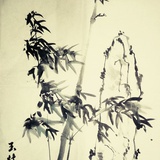 林玉君