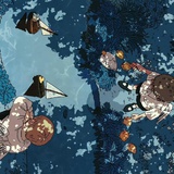 Nimij妮