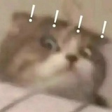 yoooozipi