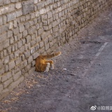 无我有心