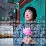 枫