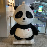 秋冬
