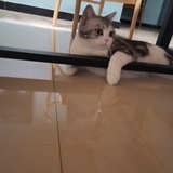 Charlie