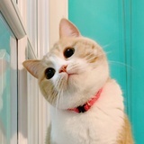 Ben