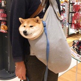 陳梓矜_