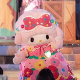 猫猫猫
