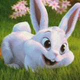 快乐兔兔