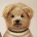 牧之