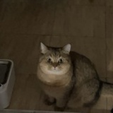 水星