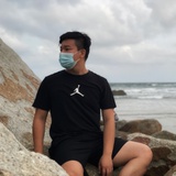离群的马
