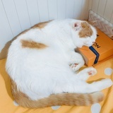 颢颢颢