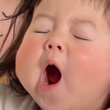 八桂地学僧