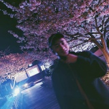 豐