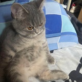 🐾