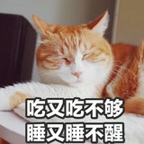 Yufasp
