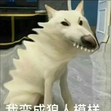 我变成狼人模样