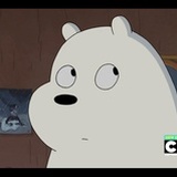 猫猫大人