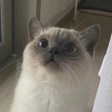 陈陈陈陈陈。