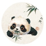猫系