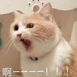 橘子有点酷