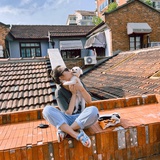 小鹿撞不葶