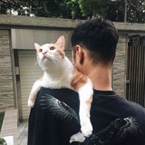 Hachiro