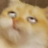 12241224
