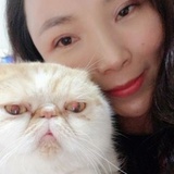 燕公子的喵