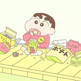 树懒小姐姐