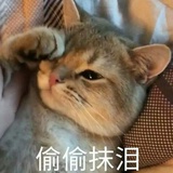 拉黑自己