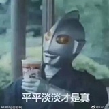 嗜睡猫