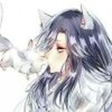 不负如来不负卿