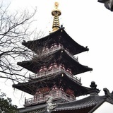 大哥大这没信号