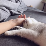 季廿不是纪年