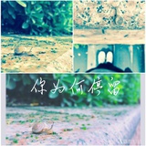 在世界与你相遇