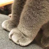 之南