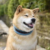 月夜七夜