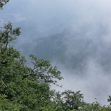 沧海扬尘